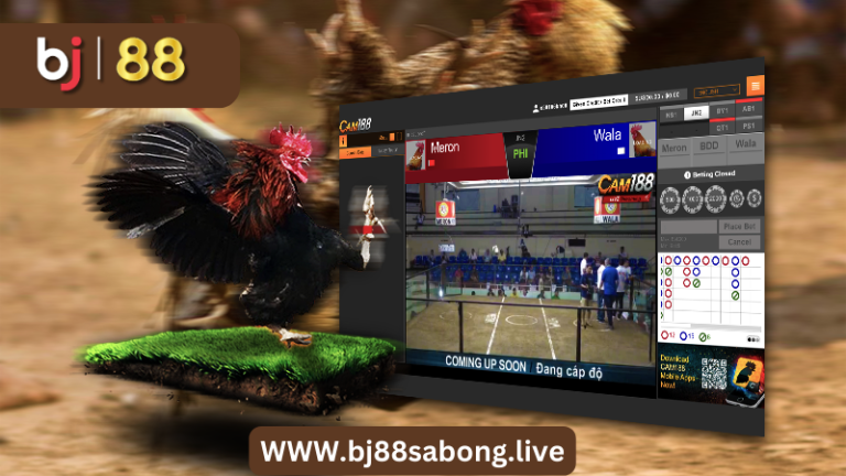 BJ88 Online Sabong: The Ultimate Online Cockfighting Experience